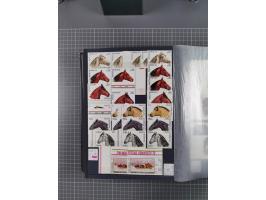 1872/1980 (ca.), mint never hinged/unused and used collection, including officials and postage dues, together with some souve