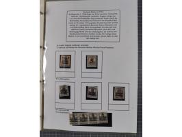 1918/19, interesting, unused/mint never hinged/used collection “Germania overprint issues,” including local issues with bette