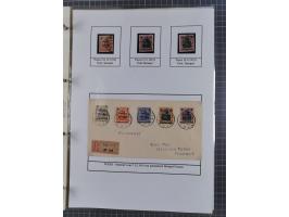 1918/19, interesting, unused/mint never hinged/used collection “Germania overprint issues,” including local issues with bette