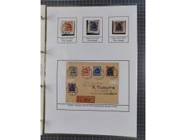 1918/19, interesting, unused/mint never hinged/used collection “Germania overprint issues,” including local issues with bette