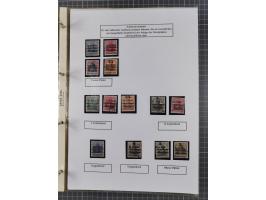 1918/19, interesting, unused/mint never hinged/used collection “Germania overprint issues,” including local issues with bette