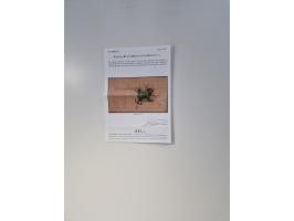 1914/44 (ca.), interesting lot oo about 100 stockcards, including Officials, unused, used and on entires with much interestin