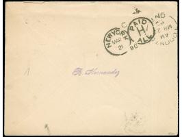 1876/93, 5c green &amp; grey, horizontal pair, tied to cover from St. Thomas , endorsed “pr. Allianca, via New York”, to Toro