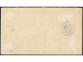 1896/1901, 4c brown &amp; blue, horizontal pair, tied to commercial cover to Hamburg, endorsed “per German Mail”, with Hambur